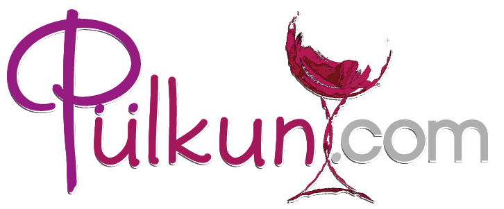 pulkun.com