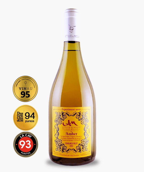 Attilio & Mochi - AMBER