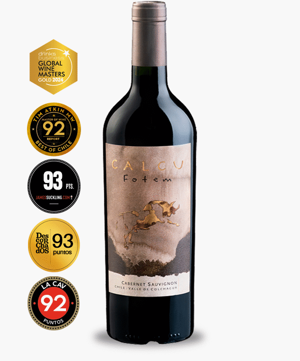 Calcu Fotem Cabernet Sauvignon