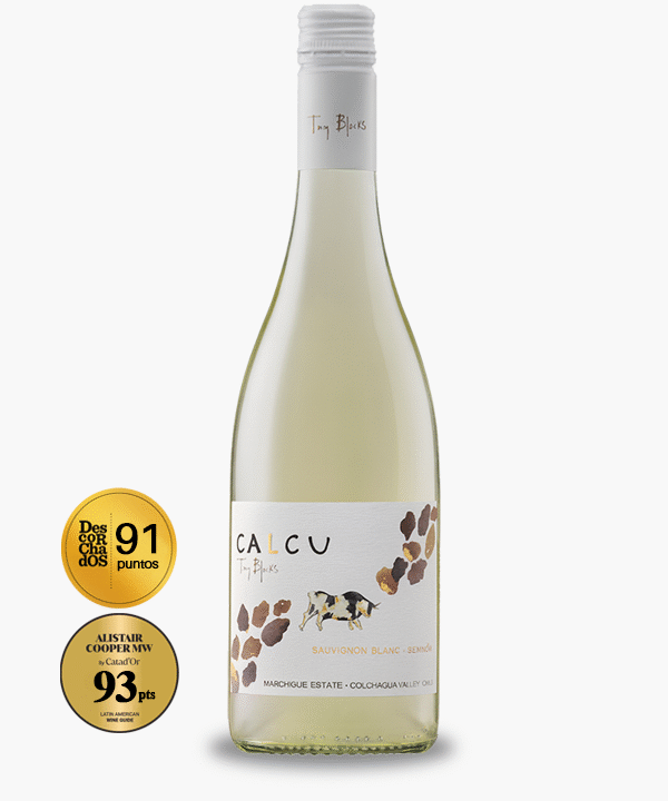 Calcu Tiny Blocks Sauvignon Blanc-Semillón (Blanc Blend)
