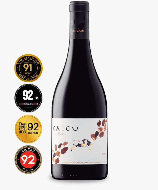 Calcu Tiny Blocks Syrah