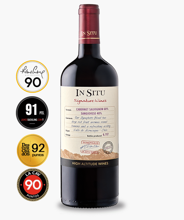 In Situ - Signature Spaguetti Blend