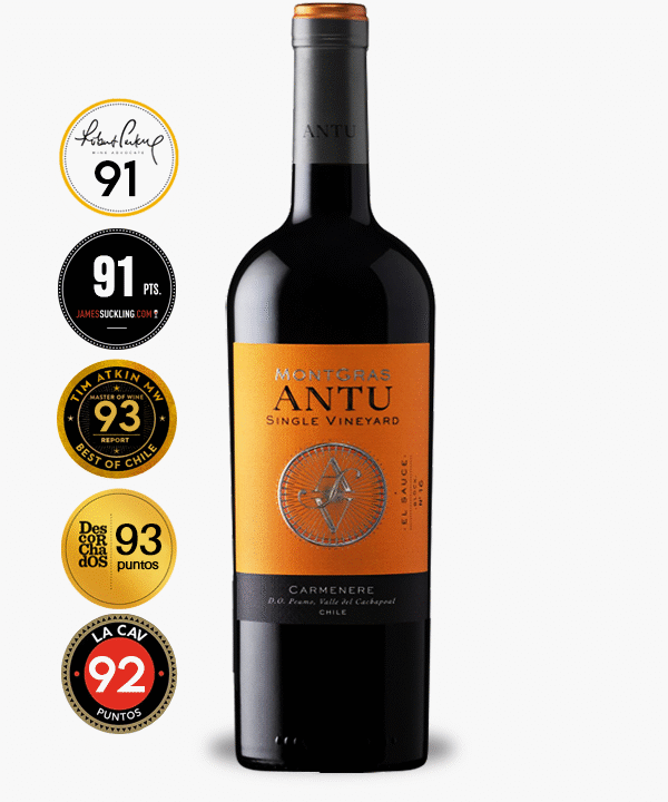Montgras-Antu-Carmenere Antu Carmenere