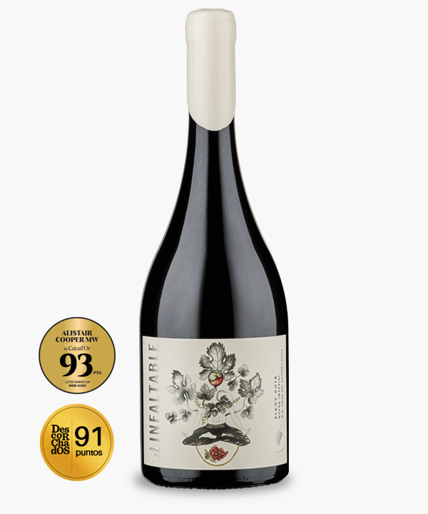 El Infaltable – Pinot Noir