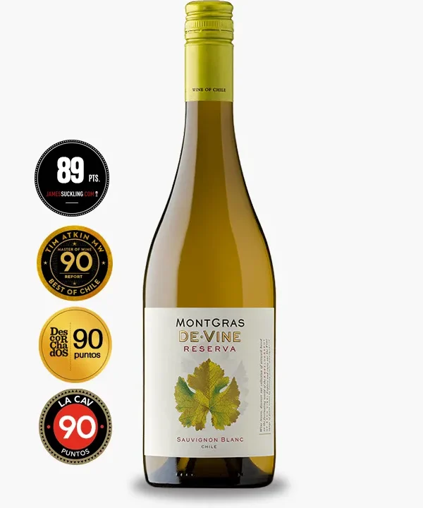MontGras De Vine Sauvignon Blanc