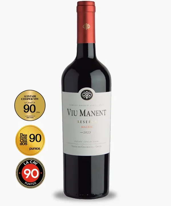 Viu Manent Reserva Malbec