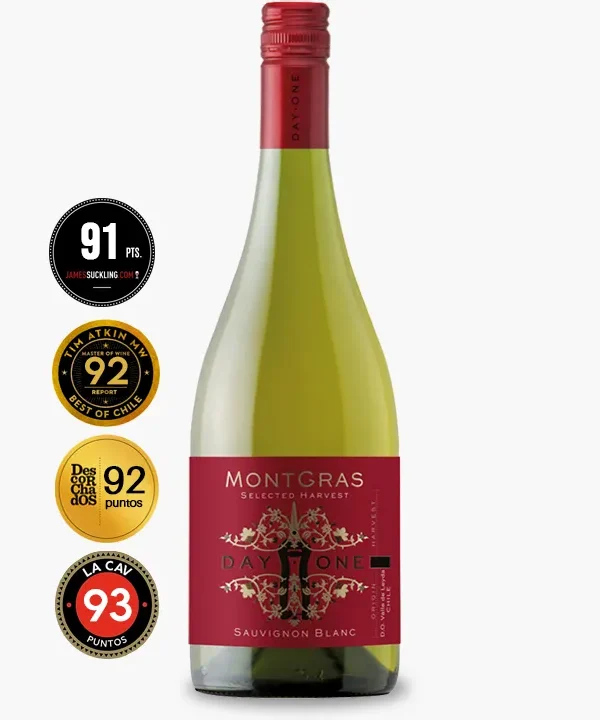 MontGras Day One Sauvignon Blanc
