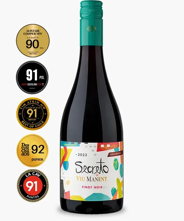 Viu Manent Secreto Pinot Noir