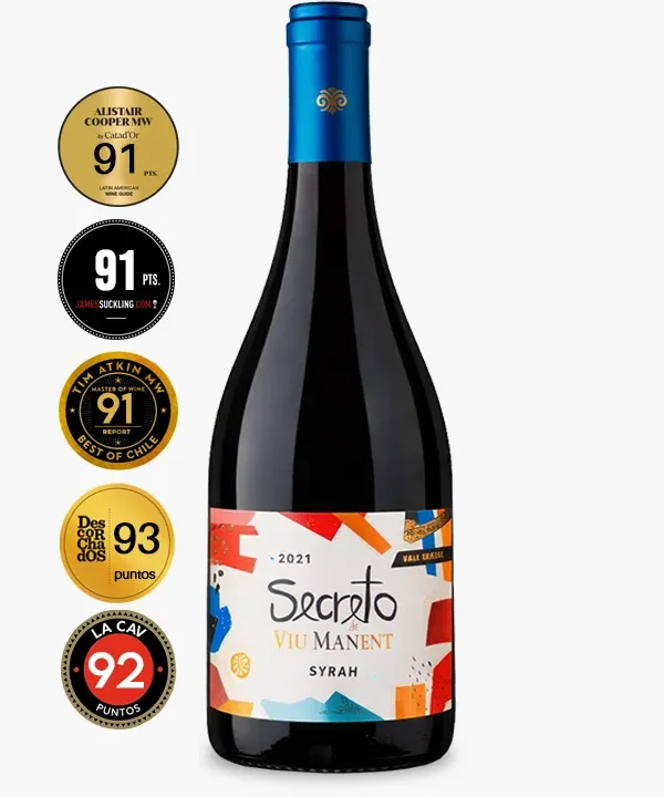 Viu Manent Secreto Syrah